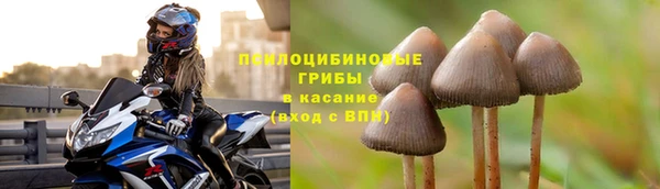Альфа ПВП Корсаков